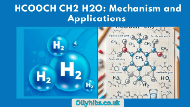 HCOOCH CH2 H2O