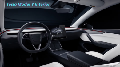 Tesla Model Y Interior